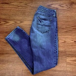 Arizona Jean Co Short Skinny Jeans